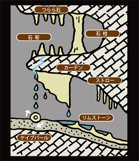 東洋一の鍾乳洞 あぶくま洞 へ初潜入 千代田ボーリング有限会社